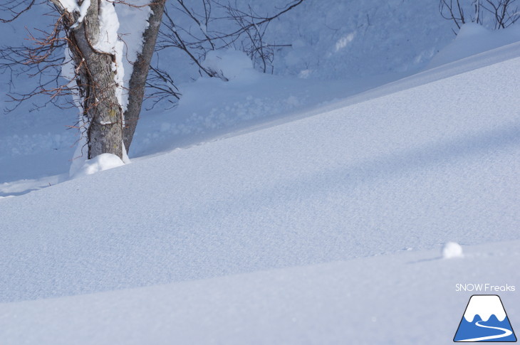 パウダーの祭典☆ICI石井スポーツ『b.c.map POWDER FREE RIDE KIRORO OPEN 2018』レポート！@キロロスノーワールド